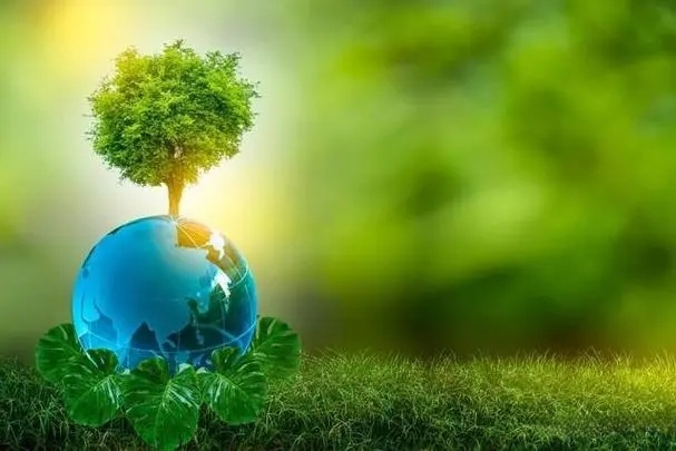 解鎖EPS回收的潛力，助力可持續(xù)未來：EPS壓實(shí)機(jī)